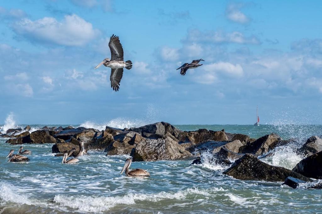 Island-Life! A Daire Fort Pierce Dış mekan fotoğraf